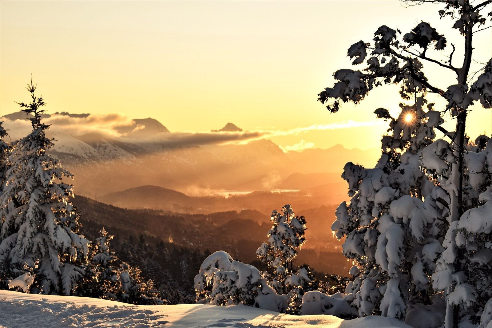 Bariloche em junho: bosque nevado no Cerro Otto
